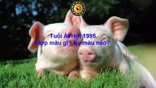 Tuổi Ất Hợi 1995 Hợp màu gì Kỵ màu nào [upl. by Srevart392]