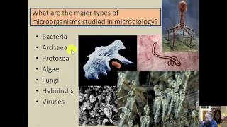 Microbiology  Intro to Microbiology  Chapter 1  Part 13 [upl. by Daigle]