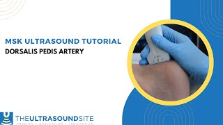 How to find the Dorsalis Pedis artery on MSK ultrasound of the foot [upl. by Einon]