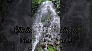 Mesmerizing Waterfalls A Journey of Wonder  Azores Portugal nature shorts paradise travel [upl. by Ahmed30]