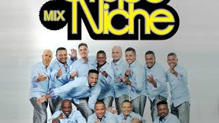 Grupo Niche  Mix Solo Exitos  Enamorada Eres Nuestro Sueño Cali Pachanguero Ana Mile [upl. by Nataline144]