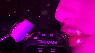 Want to stay Tingle Immune don’t WATCH THIS VIDEO  ASMR  AMAZING TASCAM SOUNDS [upl. by Eetsud]