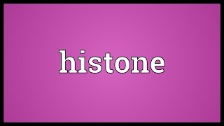 Histone Meaning [upl. by Nnaegroeg385]