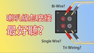 【喇叭線怎麼接】怎樣最好聽 Single Wire、Biwire、Tri Wiring是什麼 cc字幕 [upl. by Segal]