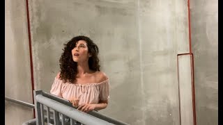 Singing quotHALLELUJAHquot in a Stairwell with EPIC acoustics [upl. by Caundra]