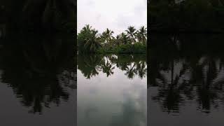 kumbalangi kavaru spotkumbalangi keralatourisom shorts [upl. by Festus]