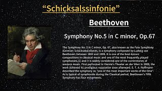 ⏺ Beethoven  Symphony No5 “Schicksalssinfonie” [upl. by Annamarie]