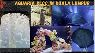 Aquaria KLCC  Things To Do in Kuala Lumpur  Best Aquarium in Malaysia  Underwater Tunnel in KL [upl. by Osnofedli]