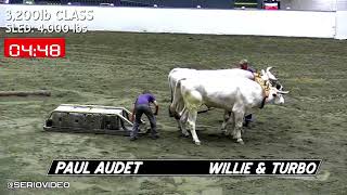 Big E Oxen Pull 3300 Class [upl. by Perzan]