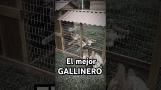 El mejor Gallinero para Gallinas [upl. by Mountfort]