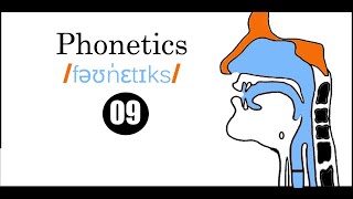 Linguistics Semester 4 Phonetics Classification of VOWELS الـدرس الـتاسـع [upl. by Alaaj]