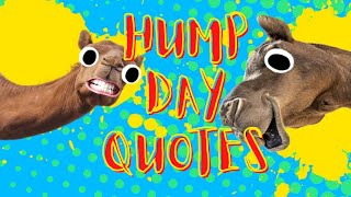 Wednesday Quotes For Wednesday Motivation [upl. by Dorcus]