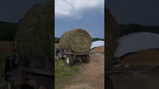 Hauling Bales With the best farmer UTV ever Toro Workman family farming toro utv automobile [upl. by Spearing]