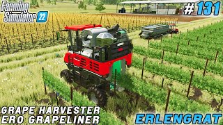 Efficiency in the Vineyard Grape Harvesting with a Combine  Erlengrat Farm  FS 22  Timelapse131 [upl. by Mouldon]