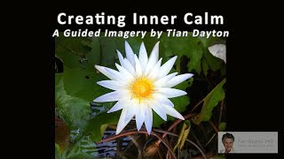 A Guided Imagery for Creating Inner Calm Managing and Regulating Fear and Anxiety [upl. by Rawdin]