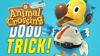 How To Fly Using A Dodo Code In Animal Crossing ACNH [upl. by Scharf663]