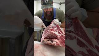 Fabricating a Beef Chuck shorts shortsvideo beef thebeardedbutchers youtube butcher [upl. by Jocelyne625]