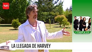 La llegada de Harvey  Cómplices  T1E1 [upl. by Acyre21]