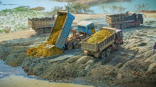 Excellent Skill Filling Deep Pond by Wheel Loader With Dump Truck Pushing Soil Into Deep Water [upl. by Ymij]