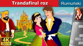 Trandafirul roz  The Pink în Romana  RomanianFairyTales [upl. by Anohs490]