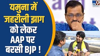 Delhi Yamuna Pollution यमुना में जहरीली झागको लेकर AAP पर बरसी BJP   Shehzad Poonawalla  TV9 [upl. by Sibella406]