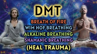 HEAL TRAUMA Anxiety Relieving Breathing Exercises  DMT Breathing 3 Guided Rounds [upl. by Lynnea]