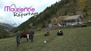 Maurienne Reportage 178  La ferme des Etroits Valloire [upl. by Reivilo]