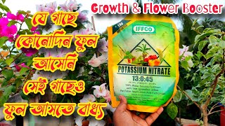 Potassium Nitrate  Npk Fertilizer  13045  WATER SOLUBLE FERTILIZERS  পটাশিয়াম নাইট্রেট সার [upl. by Accem]