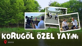 Düzce Korugöl Tabiat Parkı Özel Yayını [upl. by Surtimed66]