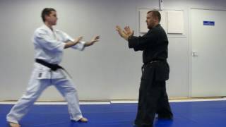 Kata Kanshiwa Uechi Ryu Karate do traditional bunkai and various options for use in Kumite [upl. by Kirenoj761]