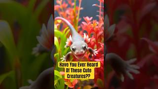 Unveiling the Axolotl Natures Cutest Enigma facts shorts animals [upl. by Lorita]