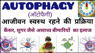 Autophagy ऑटोफैगी आजीवन स्वस्थ रहने की प्रक्रिया। Curcumina [upl. by Carlita553]