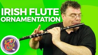 Irish Flute Lesson Willie Colemans Jig Advanced Ornamentation [upl. by Mckeon]