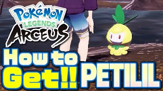 How To Get Petilil in Pokémon Legends Arceus Petilil Location [upl. by Eidaj]