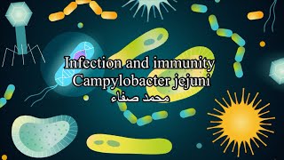 Campylobacter jejuni [upl. by Aekal]