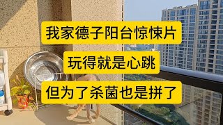 我家德子阳台惊悚片 玩得就是心跳 但为了杀 [upl. by Vacla191]