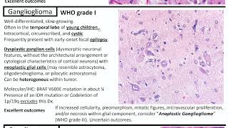 Central Nervous System CNS Tumors Part 3 Kurts Notes pathagonia [upl. by Ainotahs]