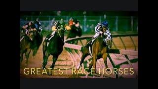 Greatest Racehorses Of All Time  Top 10 [upl. by Zug]