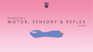 Neurology Clinical Skills  Motor Sensory amp Reflex Neurological Exam neurology ubcmedicine [upl. by Notsgnal944]