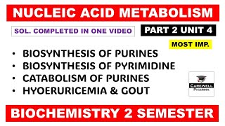 Unit 4 Biosynthesis of Purine and Pyrimidine nucleotides  Gout  Part 2  Biochemistry 2nd sem [upl. by Virnelli898]