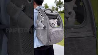 MOCHILA PARA GATO [upl. by Kolodgie263]