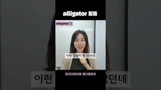 악어🐊영어 발음부산대토익학원 부산대토익 부산대편입토익 황나영토익 지식교양 부산대파고다 영어 토익 [upl. by Dee Dee]