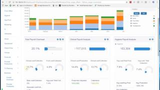 Payroll Analysis [upl. by Dorrahs736]