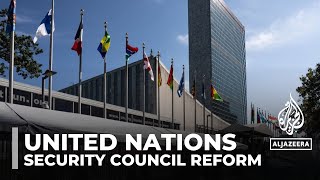 UN Security Council reform Members call for changes to veto powers [upl. by Ahsahs254]