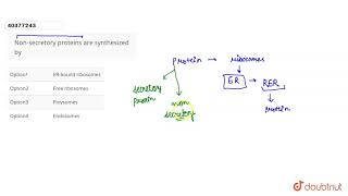 Nonsecretory proteins are synthesized by [upl. by Hagar]