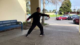 Chen Style Hunyuan 48 Taijiquan 陳式心意混元四十八式太極拳  Posture 2 Jin Gang Pounds with the Pestle 金剛搗磪碓 [upl. by Ocirrej12]