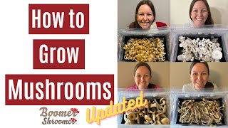 How to Grow Mushrooms UPDATED [upl. by Flanna]