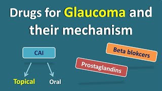 Drugs for Glaucoma and their mechanism of action  Drugs for topical and oral use [upl. by Kcirddet]