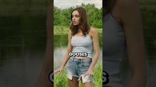 Don’t Mess With Canada Gooses shorts viral [upl. by Greer]