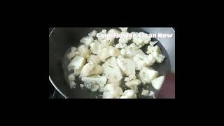 Fulkopir Manchurian Recipe Part 1  How To Make Manchurian  Shorts Fulkopir Manchurian  YCP [upl. by Jansen]